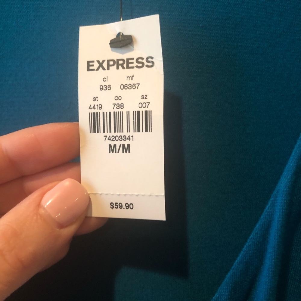 Express Dress - Picture 4 of 4